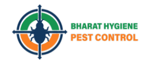 cropped-z-02-1-307x131